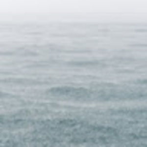 Meet your Posher, Stuart